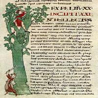 Gregory the Great: Moralia in Job