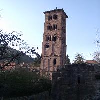 Owl tower
