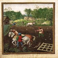 Flemish Calendar
