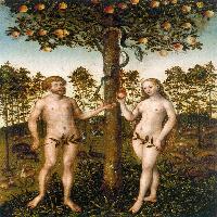 The Fall of Man