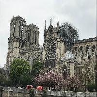 Exterior view after the fire