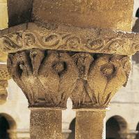 Capital