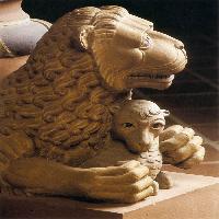 Lion Taking a Lamb
