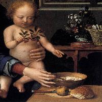 Virgin and Child with the Milk Soup (detail)