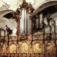 Organ